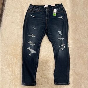 Lane‎ Bryant Dark Blue Distressed Skinny Jeans